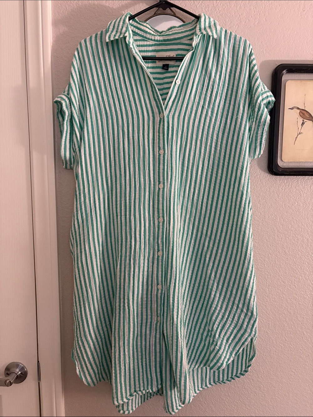 Universal Thread, Striped Button-Up Shirt Dress in Mint and White.  With pockets